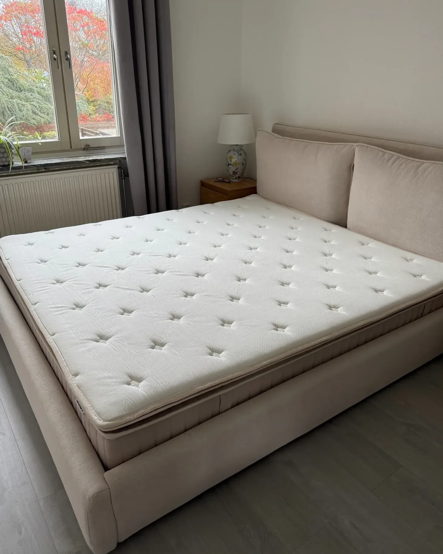 New Materac kieszeniowy z lateksem DAYDREAM H2/3 średnio twardy 180 x 200 cm Wszystkie Materace|Materace Kieszeniowe