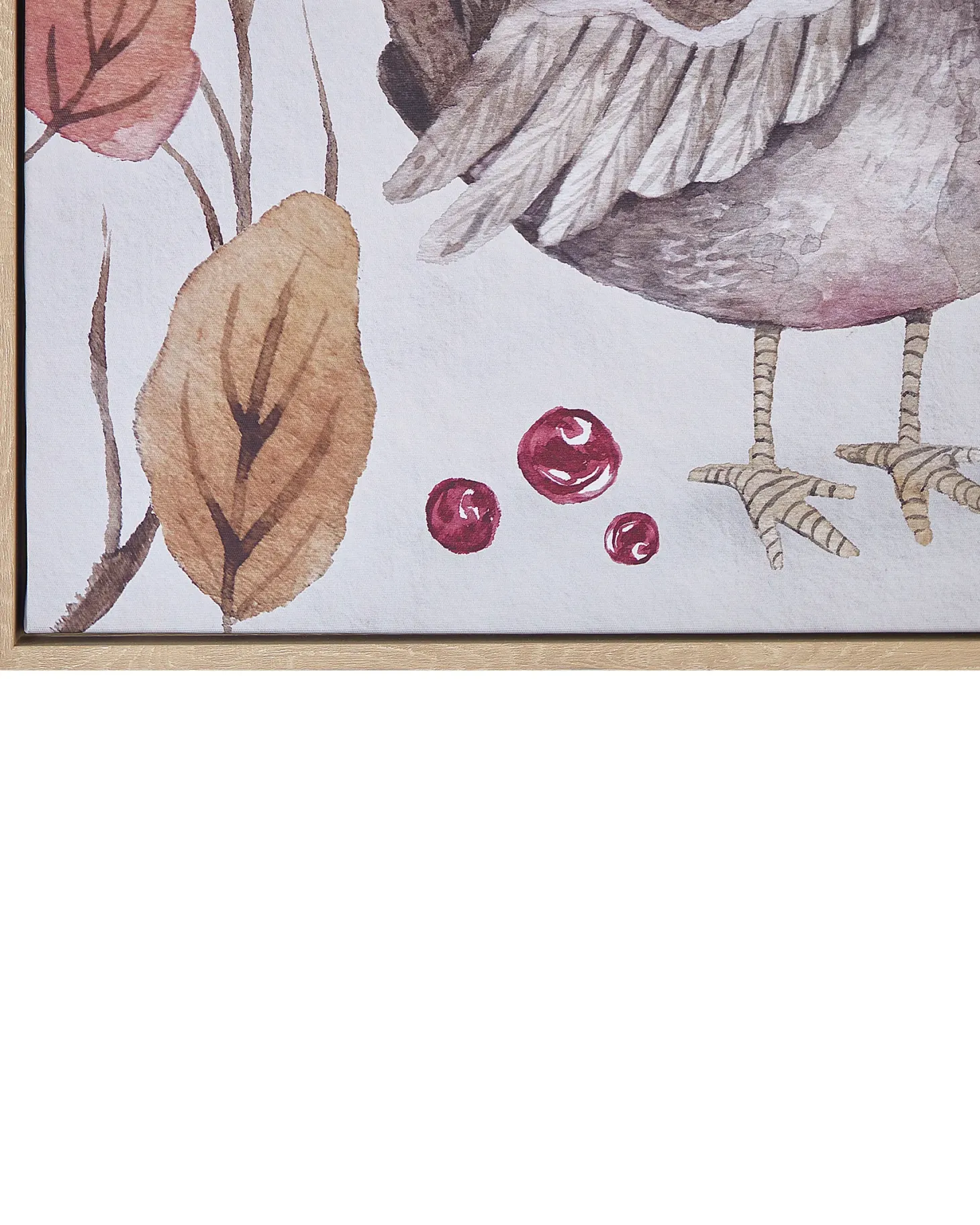 Obraz na płótnie CASTRO Motyw zwierzęcy 63 x 63 cm Kolorowy