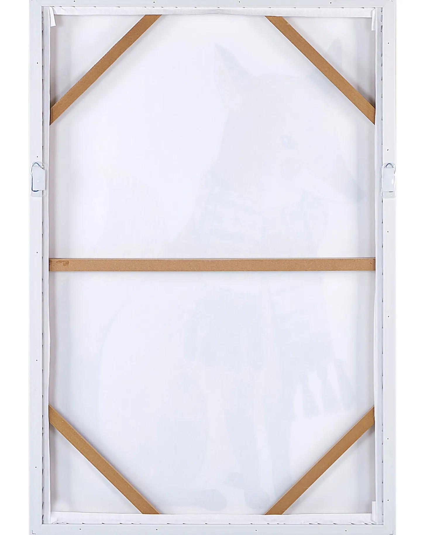 Obraz na płótnie MUCCIA Motyw zwierzęcy 63 x 99 cm Brązowy