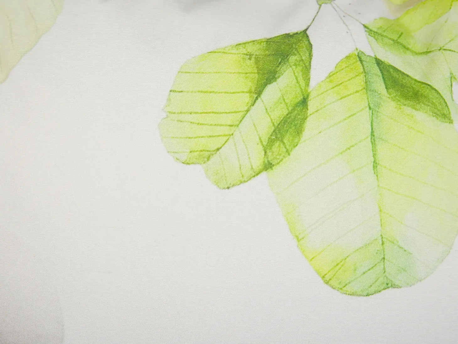 Poduszka dekoracyjna PEPEROMIA Bawełna 45 x 45 cm Biały Wzór roślinny