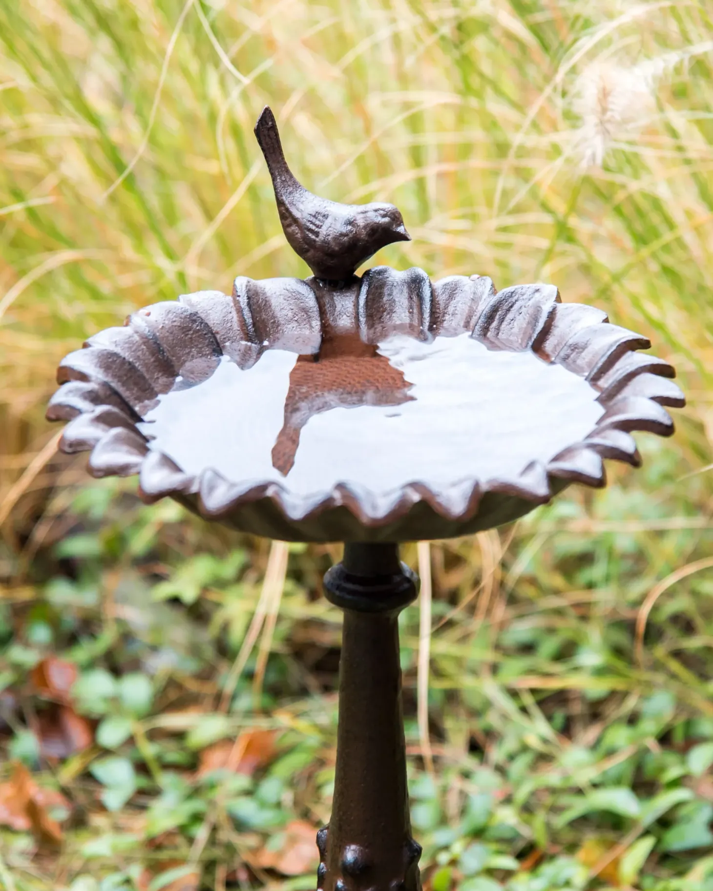 Poidełko dla ptaków BLACKBIRD Brązowy