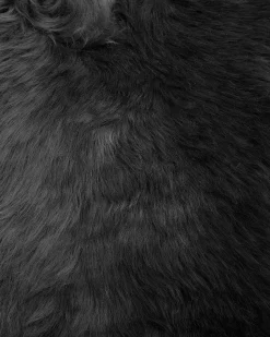 Skóra owcza ULURU Czarny 65 x 110 cm