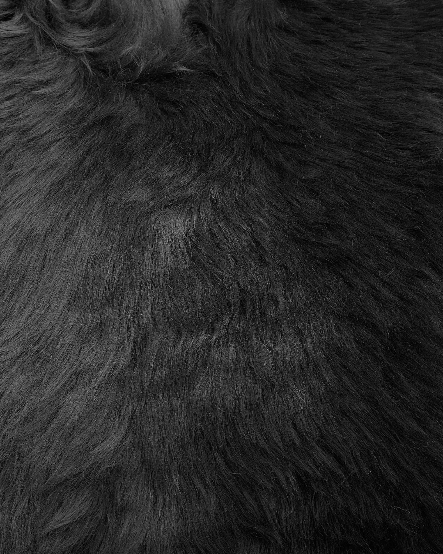 Skóra owcza ULURU Czarny 65 x 110 cm