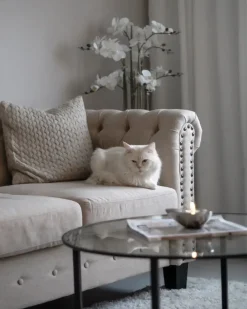 Hot Sofa dla 3 osób CHESTERFIELD Sofy Tapicerowane|Kolekcje Sof