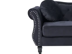 Online Sofa dla 2 osób SKIEN Welur Sofy Tapicerowane|Sofy Dwuosobowe