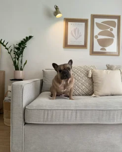 New Sofa dla 3 osób VINSTRA Sztruks Jasnoszary Sofy Tapicerowane|Wszystkie Sofy