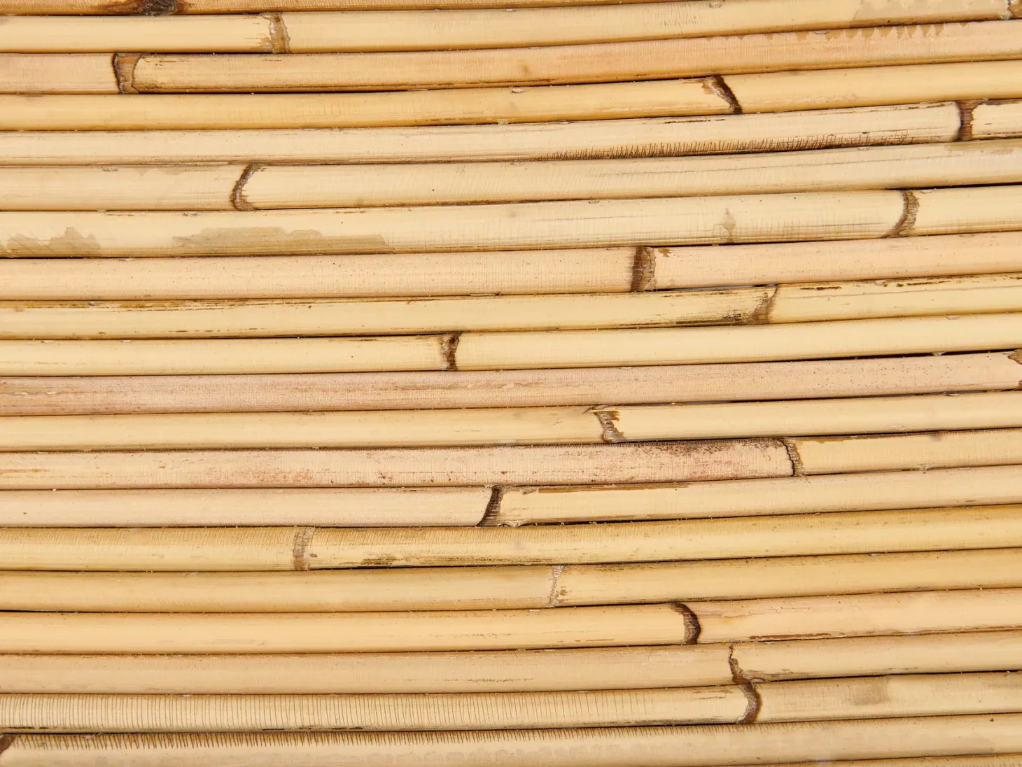 Sofa ogrodowa dla 2 osób MAIORI Rattan Naturalny