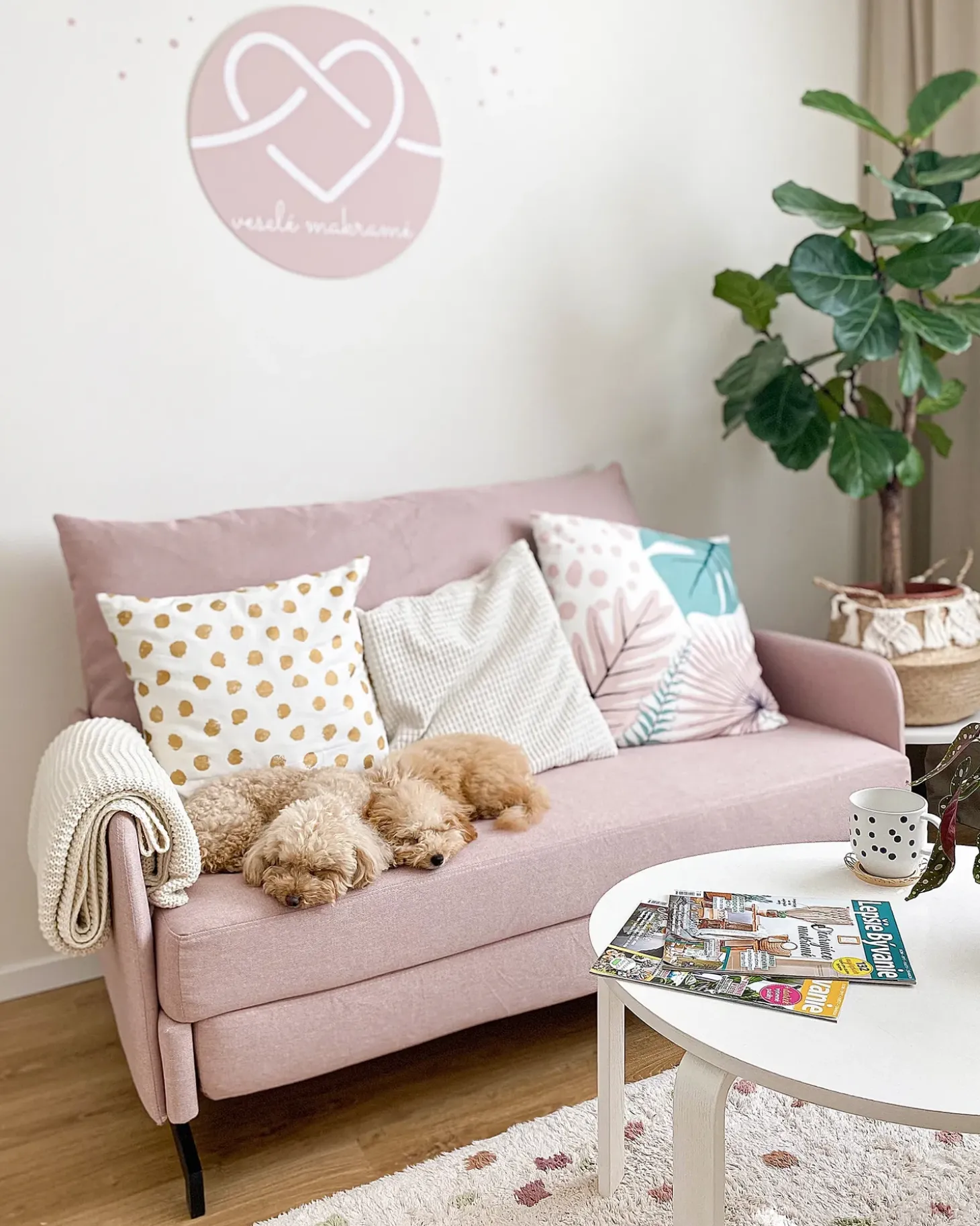 Sofa rozkładana dla 2 osób BELFAST Różowy