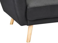 Sofa rozkładana dla 2 osób FLORLI Czarny