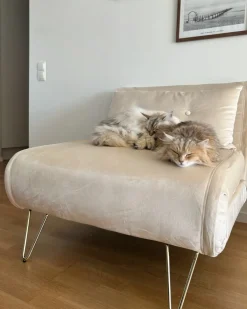 Best Sofa rozkładana jednoosobowa VESTFOLD Welur Beżowy Sofy Z Funkcją Spania|Wszystkie Sofy