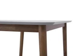 Stół do jadalni MODESTO Szary 120 cm 80 cm Drewno