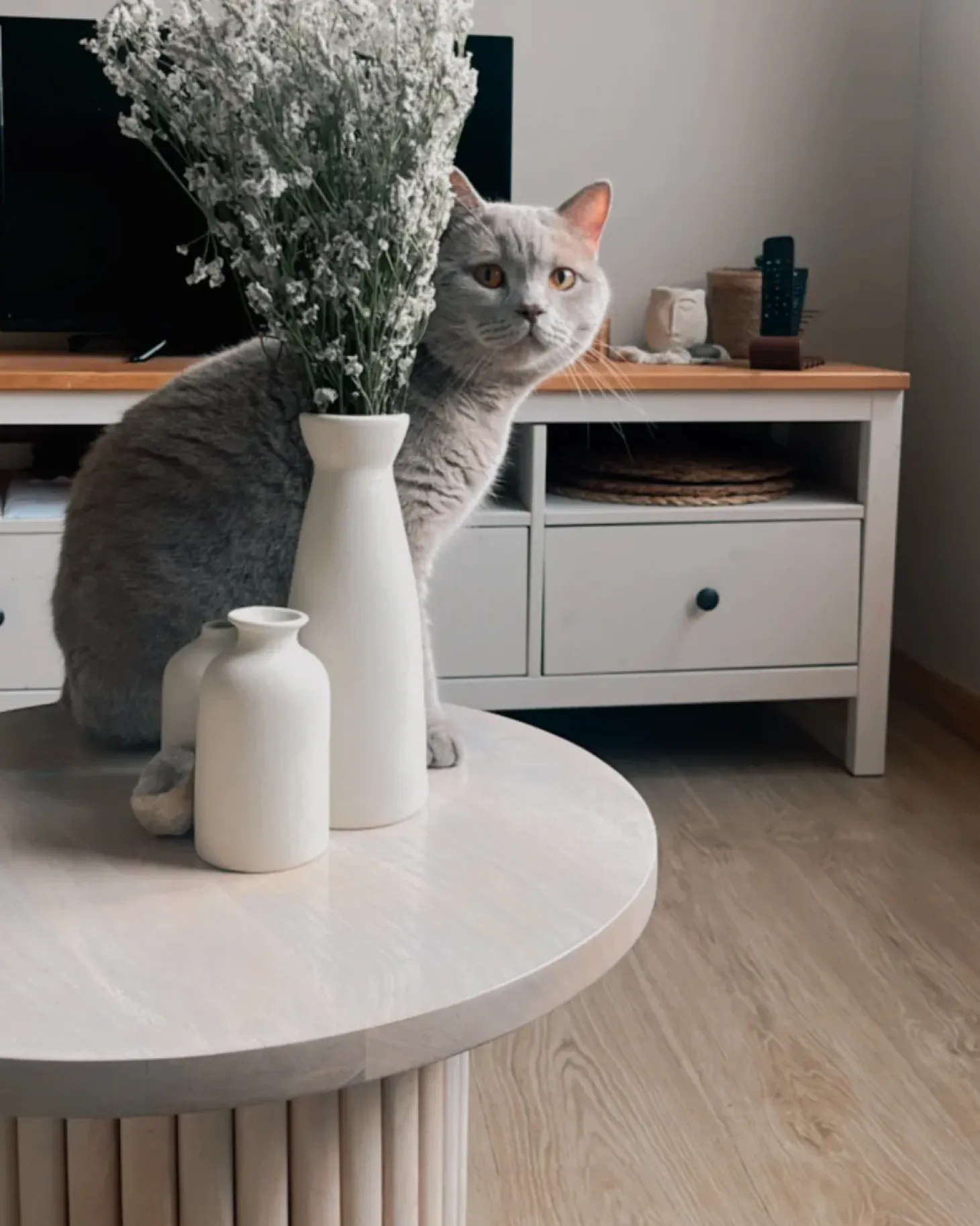 Hot Stolik kawowy LEMONT Drewno mango Jasno Stoliki Kawowe|Wszystkie Stoły
