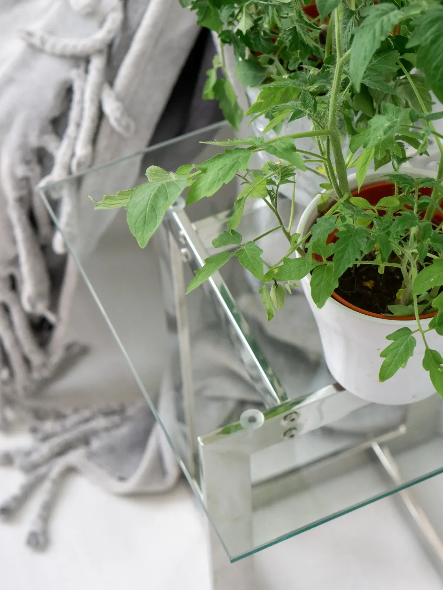 Clearance CRYSTAL Szkło hartowane Srebrny Wszystkie Stoły|Wszystkie Stoły