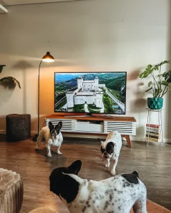 Hot Szafka RTV DETROIT Brązowy/ biały Szafki Rtv|Wszystko Do Przechowywania
