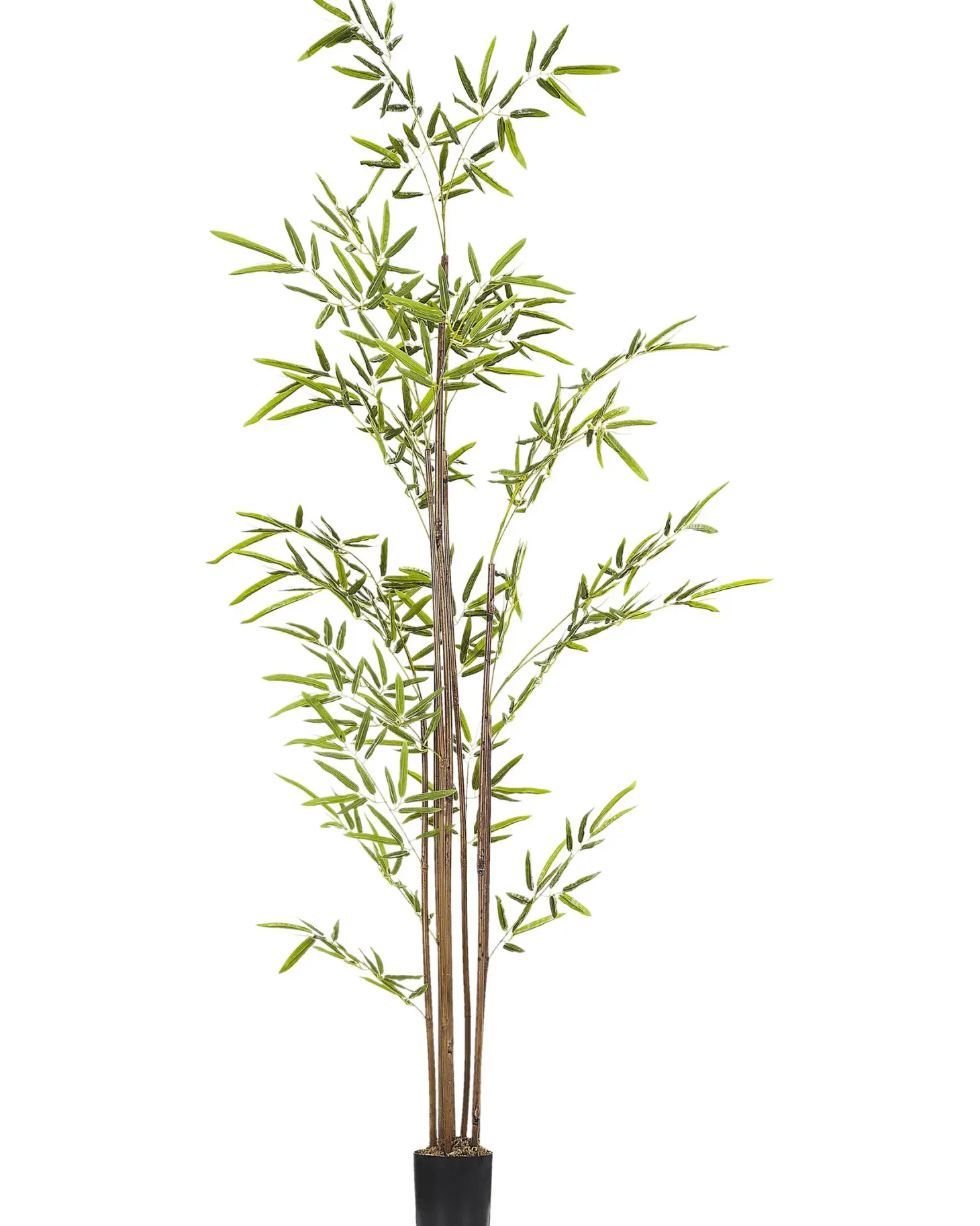 Sztuczna roślina BAMBUSA VULGARIS 160 cm Zielony