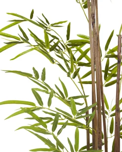 Sztuczna roślina BAMBUSA VULGARIS 160 cm Zielony