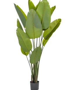 Sztuczna roślina BANANA TREE 187 cm Zielony