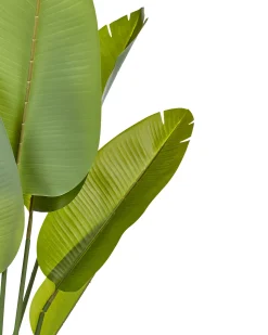 Sztuczna roślina BANANA TREE 187 cm Zielony