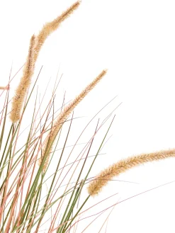 Sztuczna roślina BRISTLEGRASS 120 cm Pomarańczowy