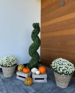Sztuczna roślina BUXUS SPIRAL TREE 158 cm Zielony