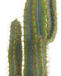 Sztuczna roślina CACTUS 78 cm Zielony