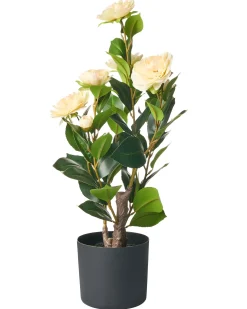 Sztuczna roślina CAMELLIA 60 cm Zielony