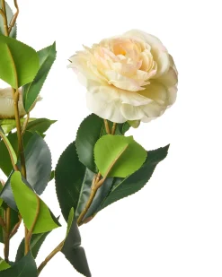 Sztuczna roślina CAMELLIA 60 cm Zielony