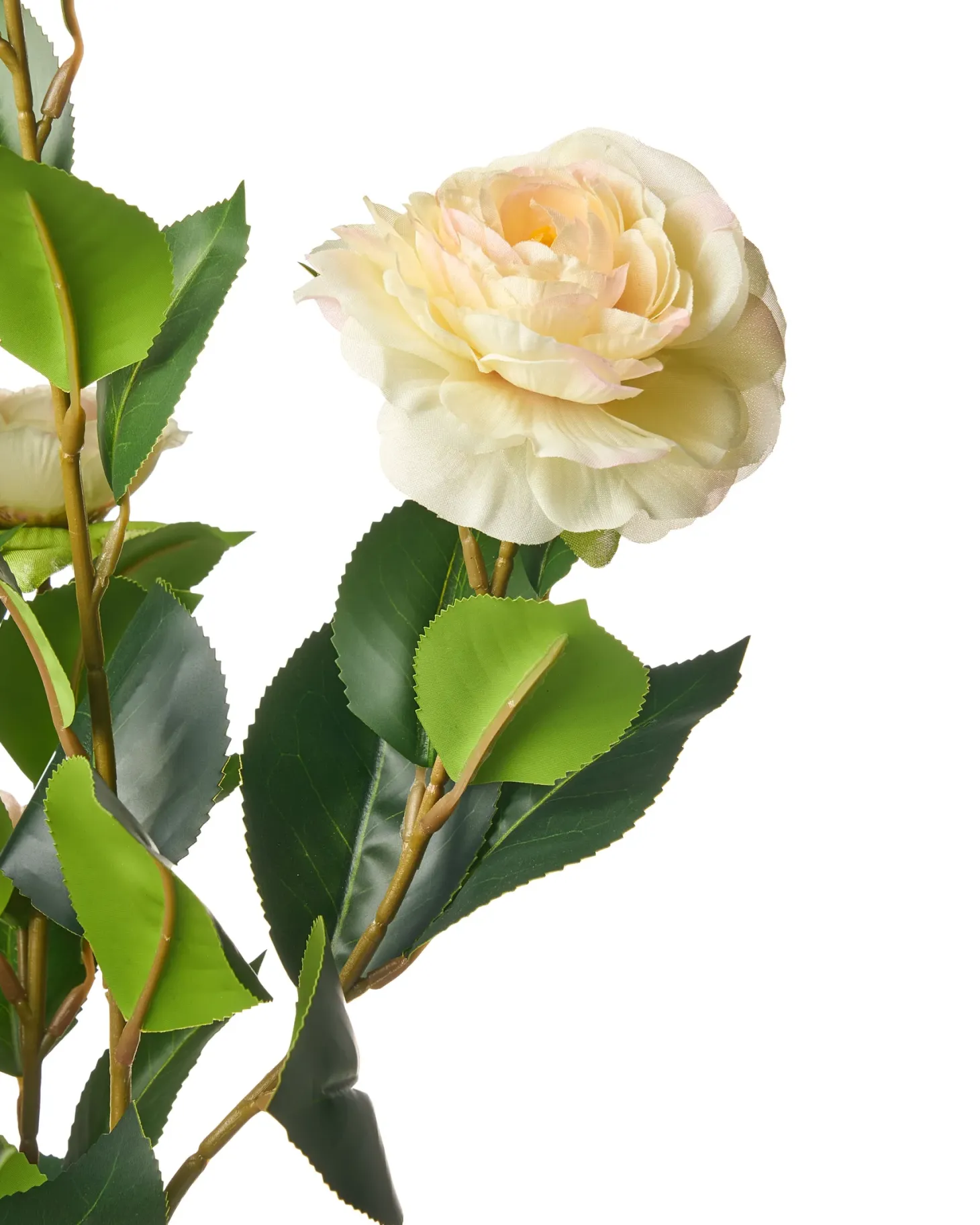 Sztuczna roślina CAMELLIA 60 cm Zielony