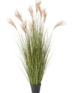 Sztuczna roślina CLAW FLOWER 150 cm Zielony