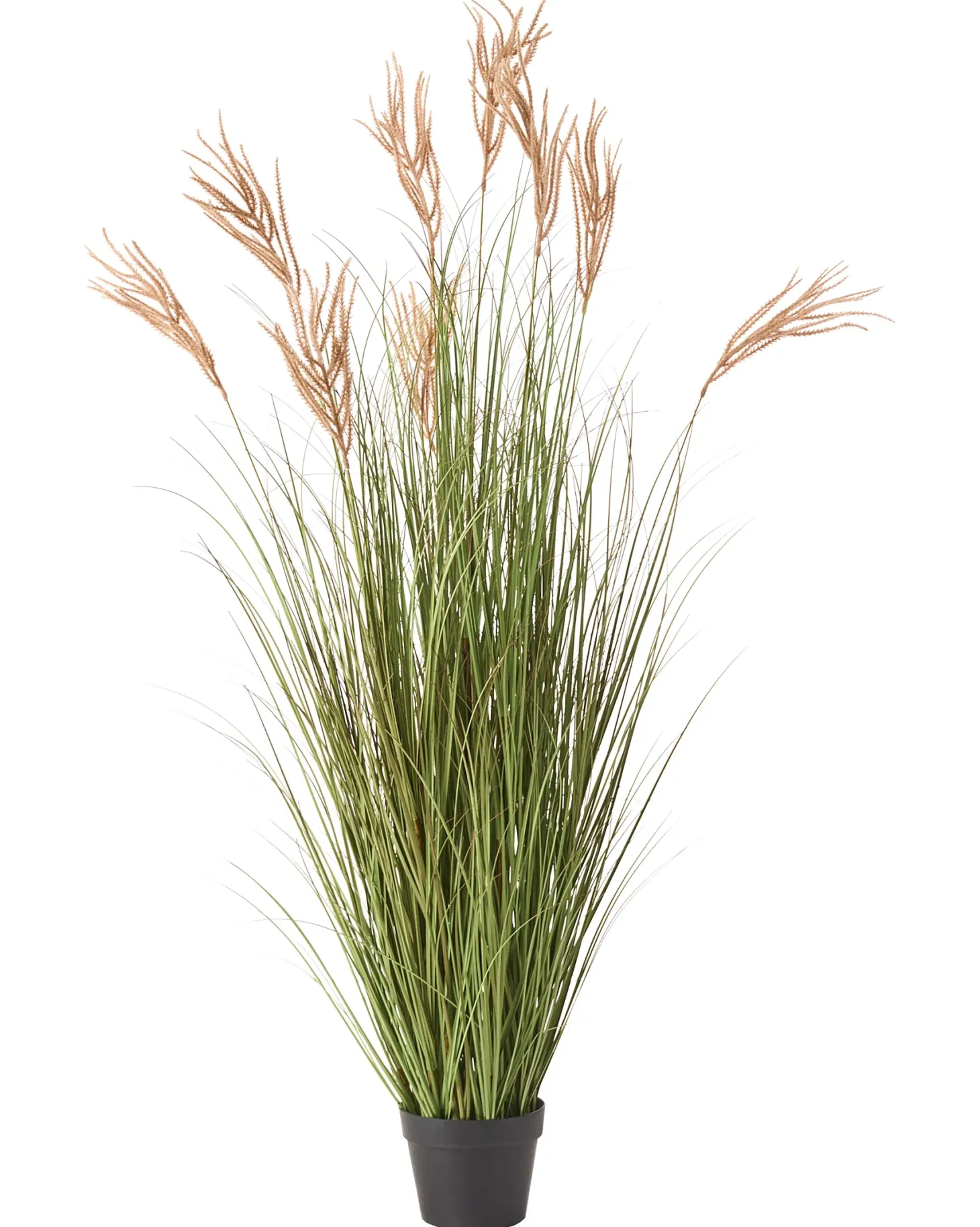 Sztuczna roślina CLAW FLOWER 150 cm Zielony