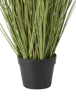 Sztuczna roślina CLAW FLOWER 150 cm Zielony