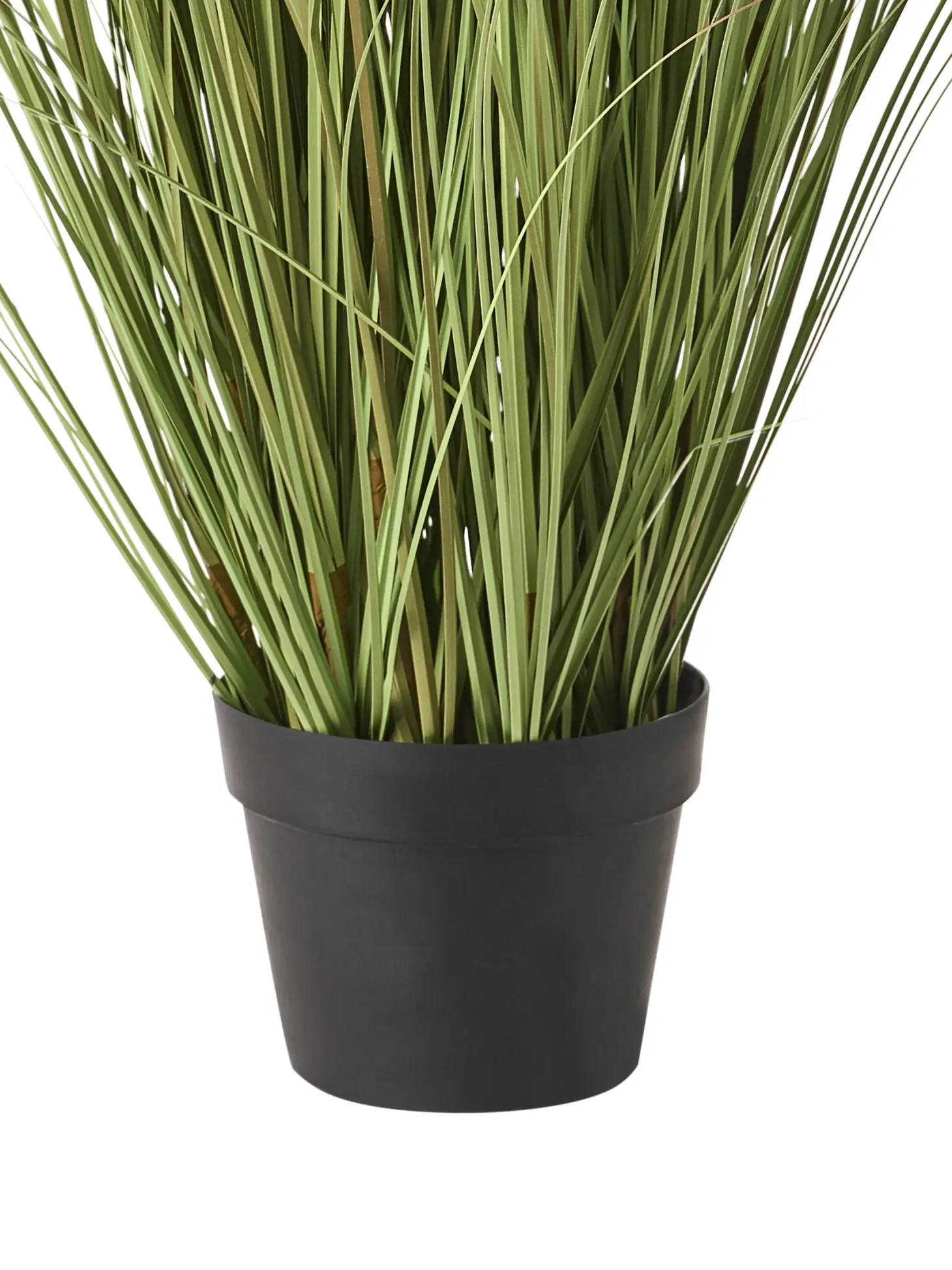 Sztuczna roślina CLAW FLOWER 150 cm Zielony