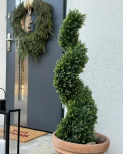 Sztuczna roślina CYPRESS SPIRAL TREE 126 cm Zielony