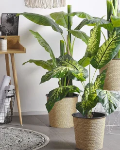 Sztuczna roślina DIEFFENBACHIA 122 cm Zielony