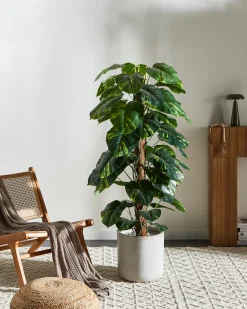 Sztuczna roślina DIEFFENBACHIA 152 cm Zielony