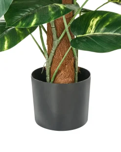 Sztuczna roślina DIEFFENBACHIA 152 cm Zielony
