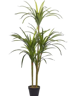 Sztuczna roślina DRACAENA ANITA 147 cm Zielony