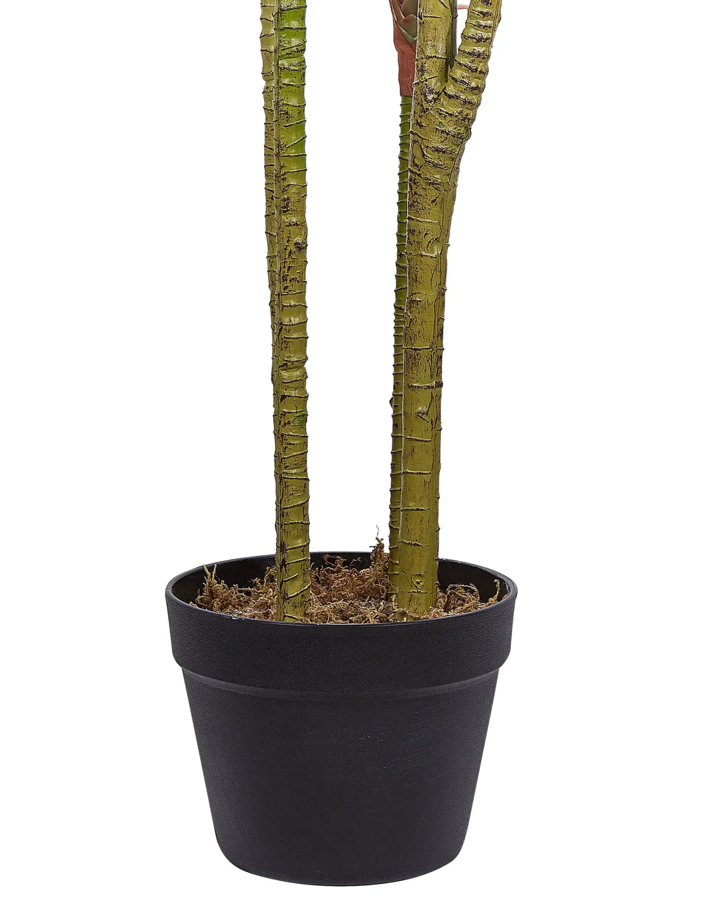 Sztuczna roślina DRACAENA ANITA 147 cm Zielony