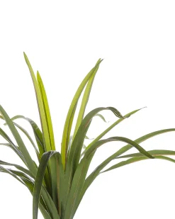 Sztuczna roślina DRACAENA ANITA 147 cm Zielony