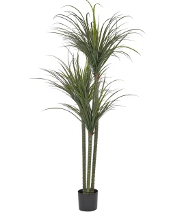 Sztuczna roślina DRACAENA ANITA 198 cm Zielony