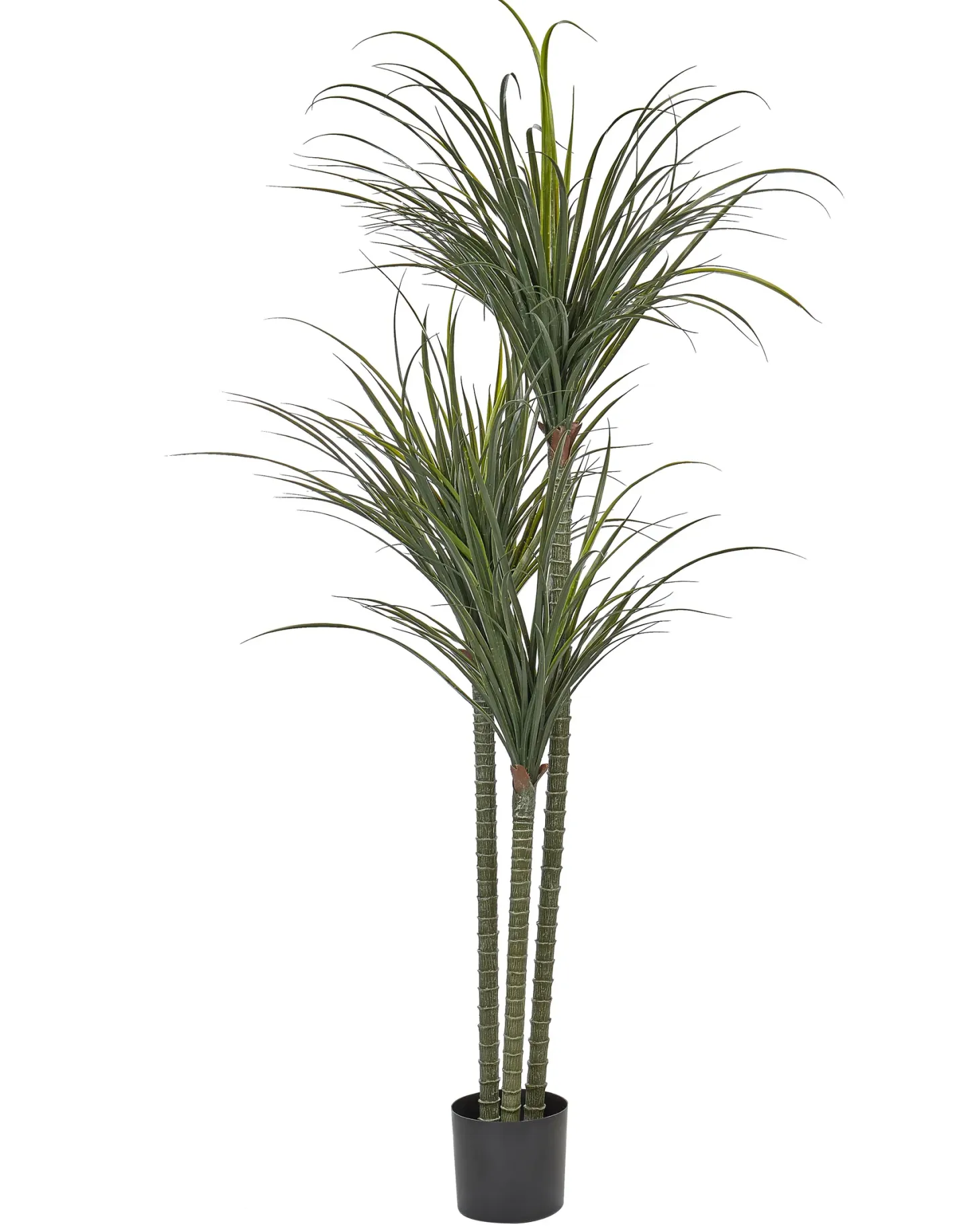 Sztuczna roślina DRACAENA ANITA 198 cm Zielony