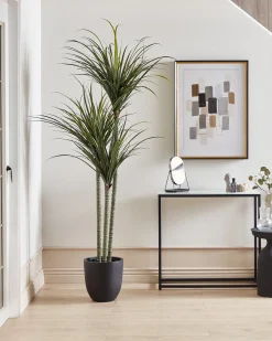 Sztuczna roślina DRACAENA ANITA 198 cm Zielony