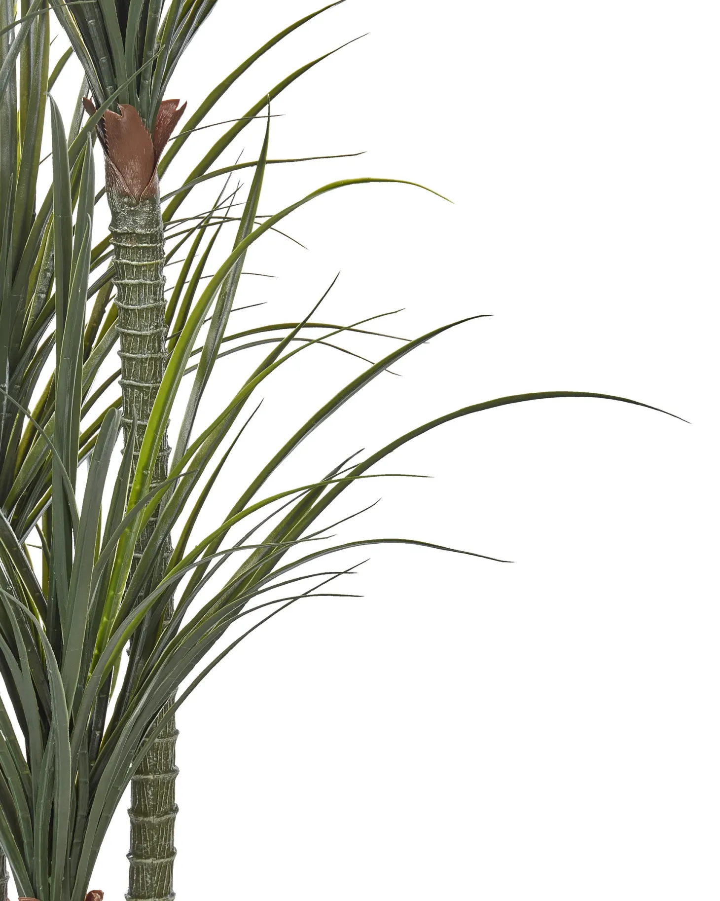 Sztuczna roślina DRACAENA ANITA 198 cm Zielony