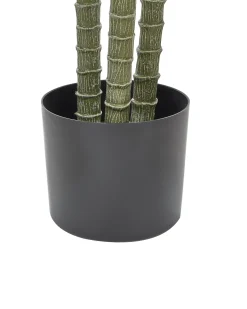 Sztuczna roślina DRACAENA ANITA 198 cm Zielony