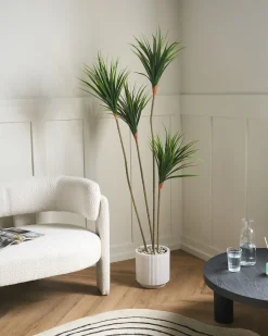 Sztuczna roślina DRACAENA DRACO 165 cm Zielony