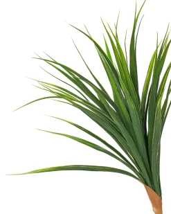 Sztuczna roślina DRACAENA DRACO 165 cm Zielony