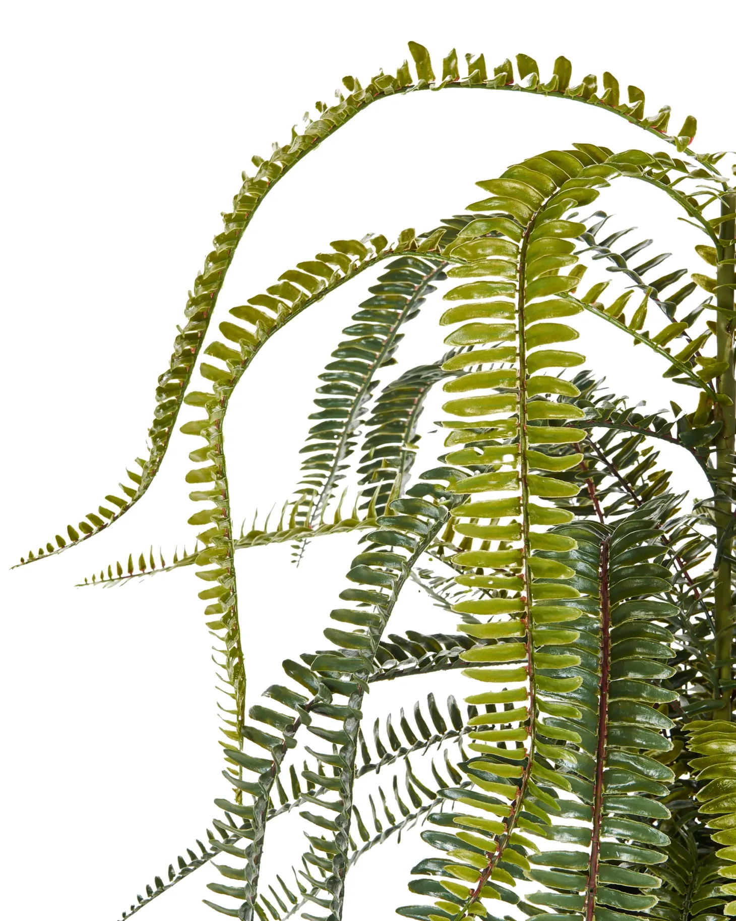 Sztuczna roślina FERN LEAF PLANT 105 cm Zielony