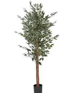 Sztuczna roślina FICUS 167 cm Zielony