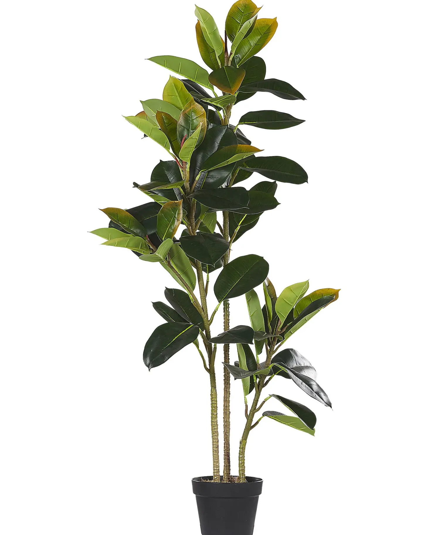 Sztuczna roślina FICUS ELASTICA 134 cm Zielony