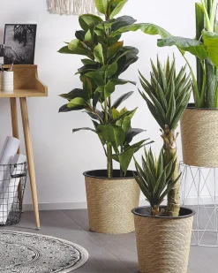 Sztuczna roślina FICUS ELASTICA 134 cm Zielony